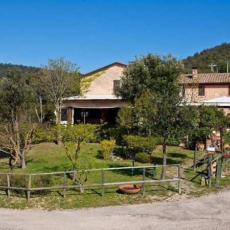 Agriturismo Torre Burchio Бетонна Екстер'єр фото